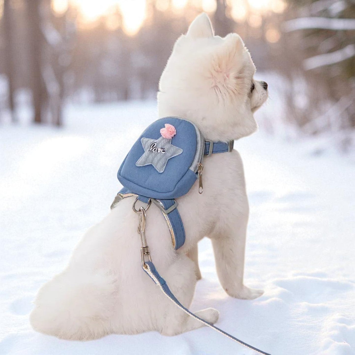 Pet Accessories: Dog Leash, Harness, Collar, Cat Strap & Backpack GLory Glory