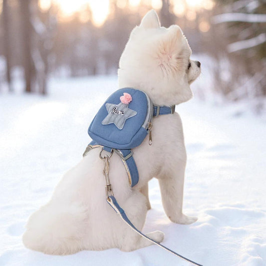 Pet Accessories: Dog Leash, Harness, Collar, Cat Strap & Backpack GLory Glory