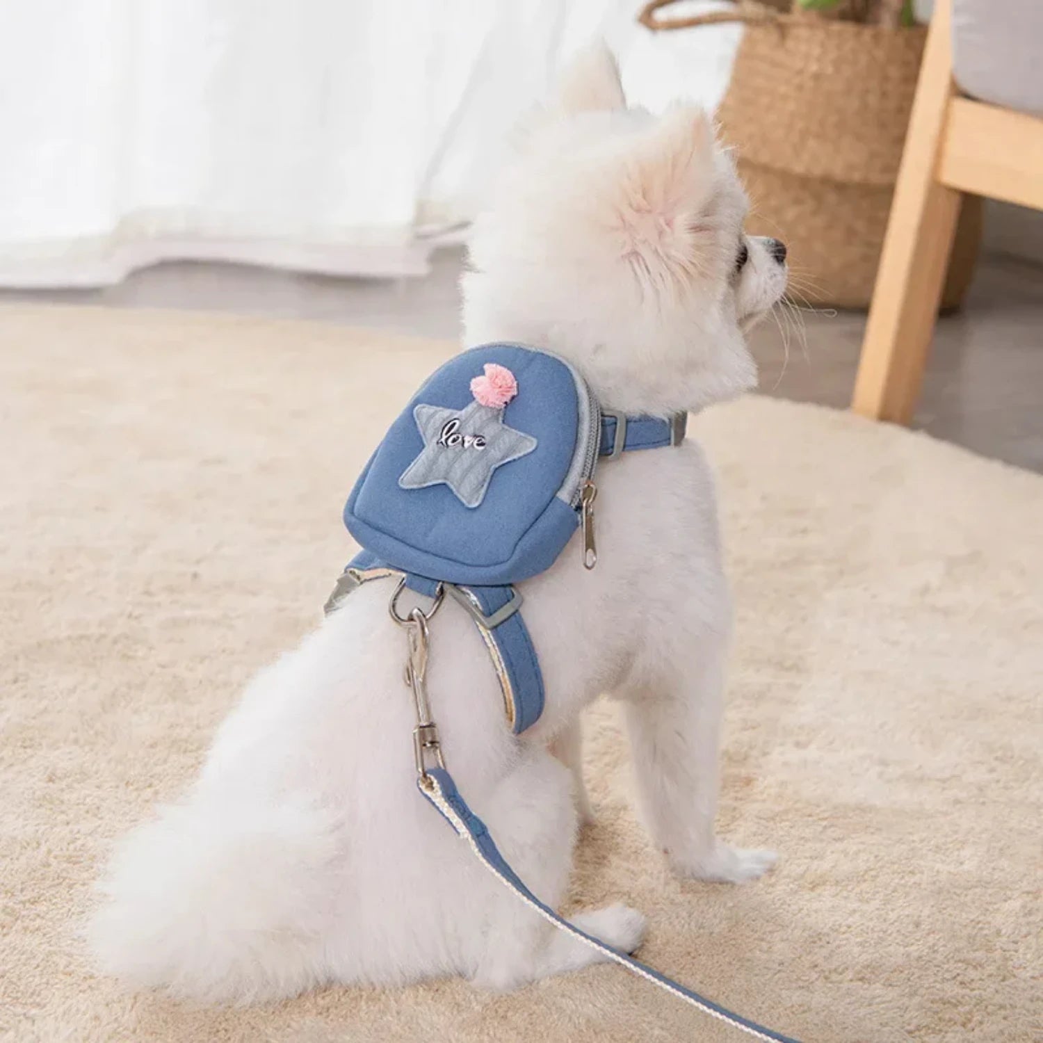Pet Accessories: Dog Leash, Harness, Collar, Cat Strap & Backpack GLory Glory
